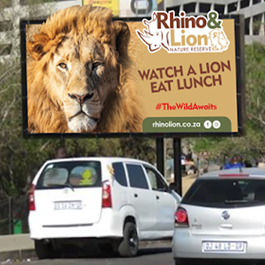 Rhino & Lion